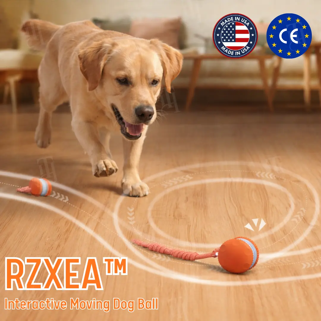Interactive Moving Dog Ball