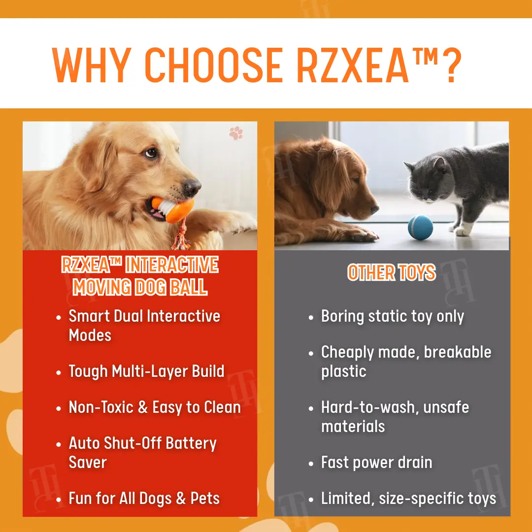 Interactive Moving Dog Ball - Image 7