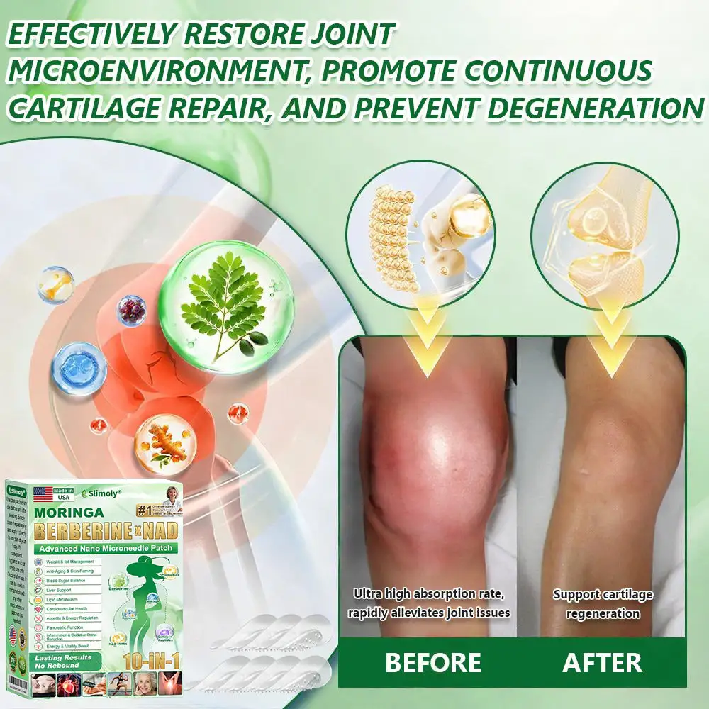 Moringa ยท Berberine ร NAD+ ๐๐-๐ข๐ง-๐ ๐๐๐ฏ๐๐ง๐๐๐ ๐๐๐ง๐จ ๐๐ข๐๐ซ๐จ๐ง๐๐๐๐ฅ๐ ๐๐๐ญ๐๐ก - Image 8