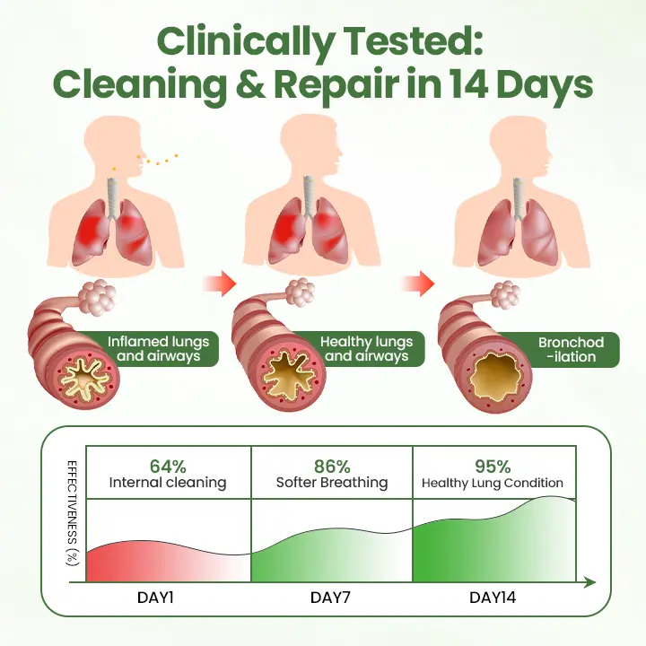 Verbascosaponin Lung Detox Diffuser - Image 4
