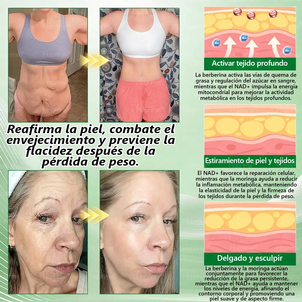 ๐บ๐ธ๐ถ๐๐๐๐๐๐๐ ๐บ๐๐๐๐ | ๐ด๐๐๐๐๐๐ฎ ยท ๐๐ฒ๐ฟ๐ฏ๐ฒ๐ฟ๐๐ฃ๐ ร ๐๐ผ๐+ ๐๐-๐ข๐ง-๐ ๐๐ฑ๐๐ฎ๐ป๐ฐ๐๐ ๐๐๐ฃ๐ค ๐๐๐๐ง๐ค๐ฃ๐๐๐๐ฅ๐ ๐๐๐ญ๐๐ - Image 8