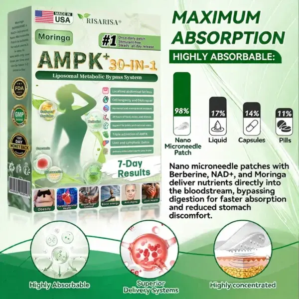 𝟑𝟎-𝐞𝐧-𝟏 𝐁𝐞𝐫𝐛𝐞𝐫𝐢𝐧𝐞 · 𝐍𝐀𝐃+/𝐍𝐌𝐍 × 𝐌𝐚𝐭𝐫𝐢𝐱𝐲𝐥 𝟑𝟎𝟎𝟎 𝐀𝐝𝐯𝐚𝐧𝐜𝐞𝐝 𝐋𝐢𝐩𝐨𝐬𝐨𝐦𝐚𝐥 𝐏𝐚tch - Image 4