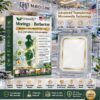 10-in-1 Microneedle Patch