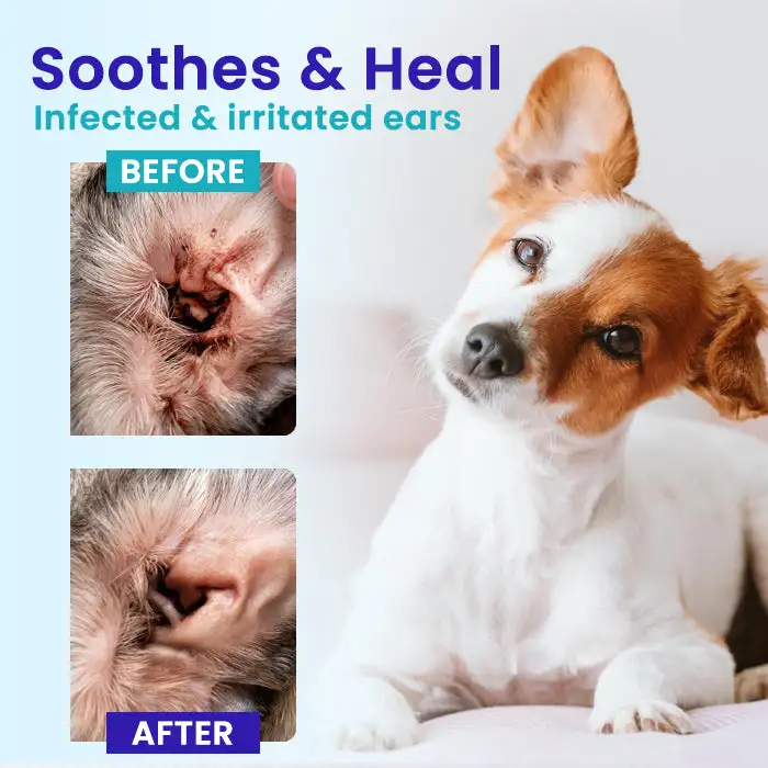 Pet EarPro Drops FM+ - Image 2