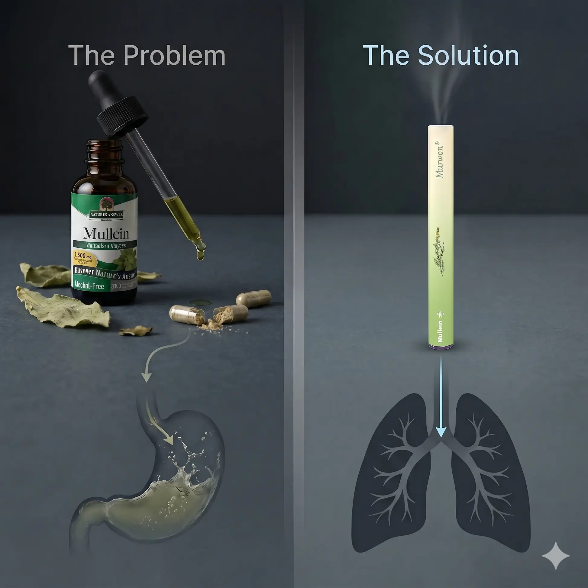 Botanical Mullein Lung Cleanse - Natural Breathing Support - Image 6