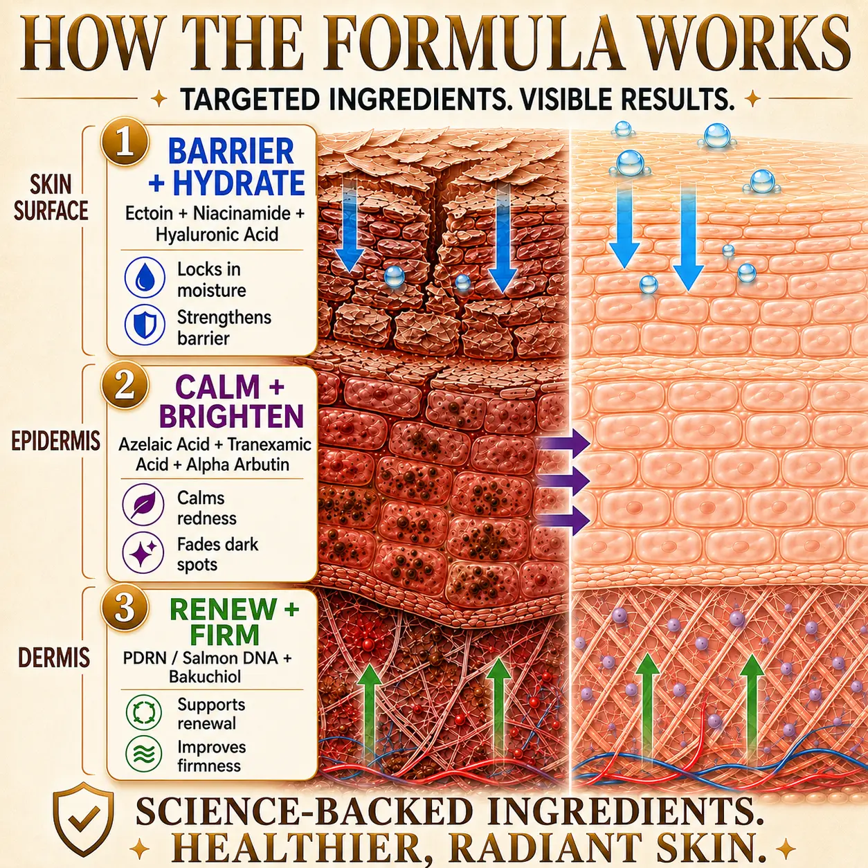 Multi-Concern Skin Repair Cream - Image 6