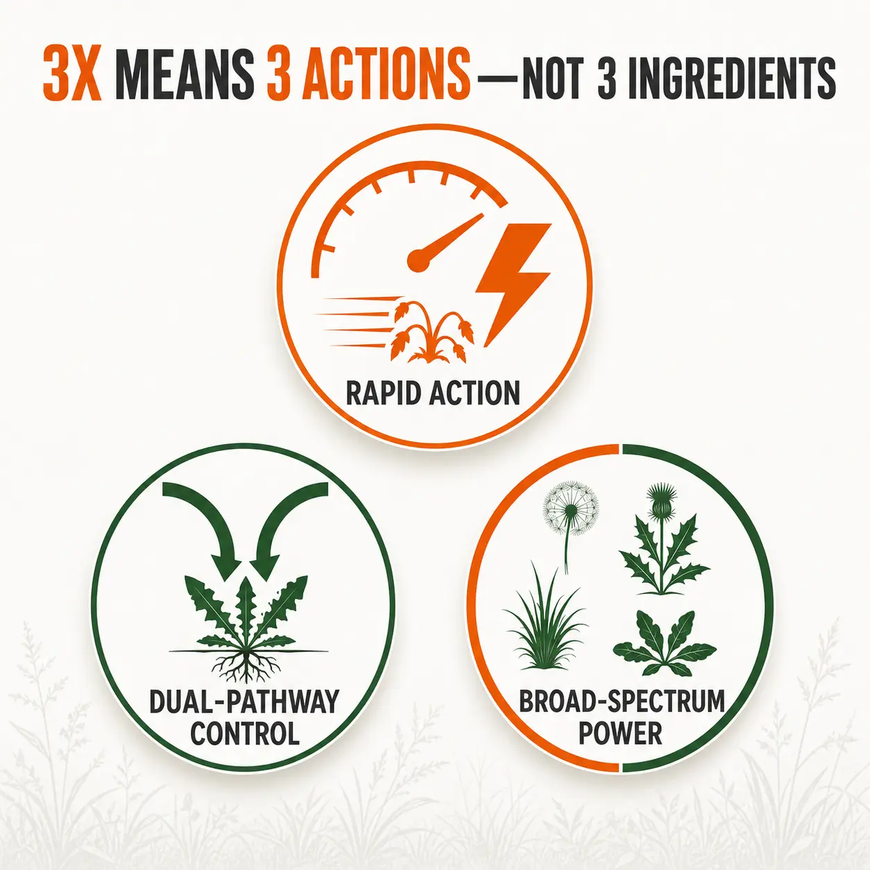 3X RootForce Triple-Action Herbicide - Image 2